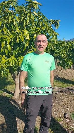 25K views · 114 reactions | ‍Meet farmer Paco and regenerative technician Paco! Paco from Finca Refijo signed up to our regenerative programme 6 months ago and is already starting to see the benefits! Paco the technician is there to help him in the transition and advise him on the different practices to implement. Stay tuned to find out more about all things regenerative!  | CrowdFarming | Facebook