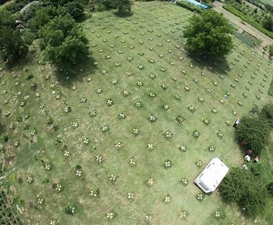 Accouplement contrôlé des reines d’abeilles – Apis Donau France
