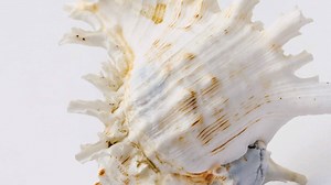 132K views · 367 reactions | Stream Now on Spotify/Apple/Deezer: https://cafedelmar.lnk.to/Volume24 | Café del Mar | Facebook