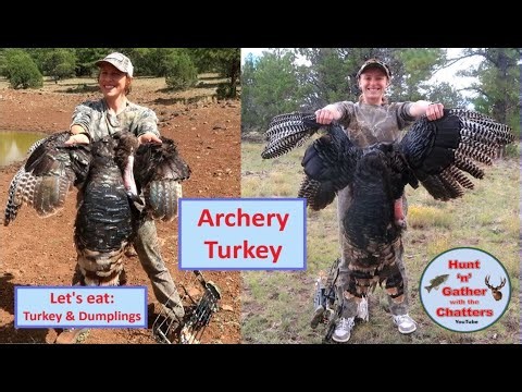 ARCHERY TURKEY HUNTING - TURKEY & DUMPLINGS - BEAR & ELK - Arizona Bow Hunting - Cook Wild Turkey!
