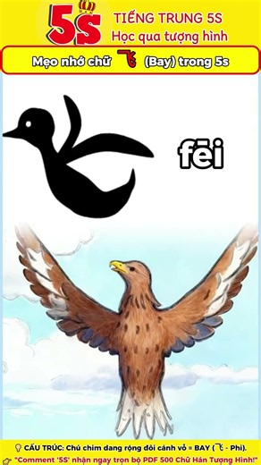 See the bird spread its wings and you'll never forget! How to memorize the character 飞 (Fly) in 5...