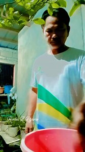 Morning daily Routine update Sa ating Lettuce 🥬🥬🥬 #TeamBibingKaSolid2.1 #TeamUnifiedJumbohotdog #TeamPinagsama #TeamTravelersZone #TeamEaglesEyeWarriors #TeamBuotbuot #TheNewGenerationsGeniusContentsCreators #Notify | Rodel L. Lizano