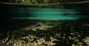 Rivers of Life : 102