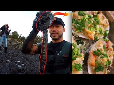How to Catch and Cook HUGE Horseneck Clams (NO TOOLS) - Steamed with Soy Sauce on a Noodle Bed