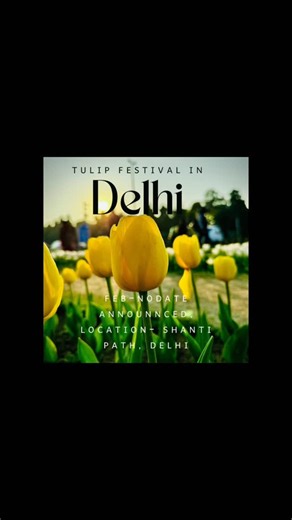 Royy | Tulip Festival is Back Share/tag with your family and friends Experience the third Tulip Festival, featuring over 200,000 tulip bulbs in... | Instagram