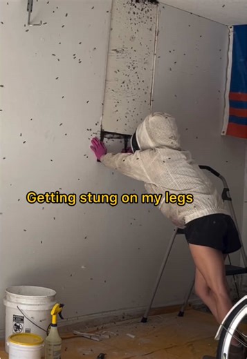 Understanding Bee Behavior: When Math Doesn’t Add Up