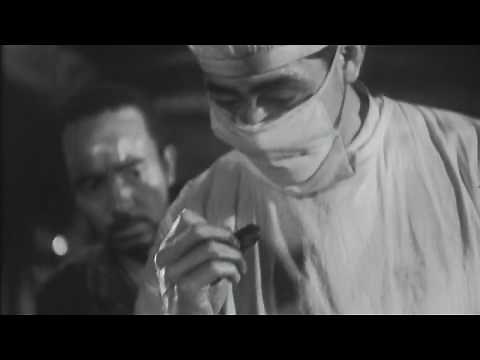 The Quiet Duel (静かなる決闘 Shizukanaru Kettō) eng\\port\\tur\\gre 1949