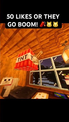 50 LIKES OR THEY GO BOOM! #minecraft 🧨🐱🐱