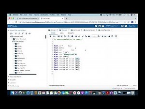 SAS Macro Series Part 2:​ Macro variables and %let statement​