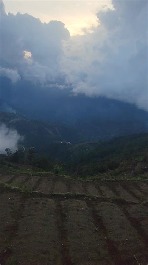 67 reactions · 10 comments | Chicken dung  ang secreto diring dapita | Joseph Martos MixVlog | Facebook