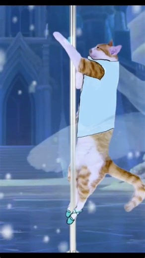 #cat #cute #frozen Cat version of Frozen