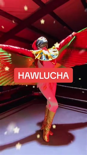 How it feels to use FLYING ENTRY #househardy #pokemon #pokemontcg #wrestling #luchalibre