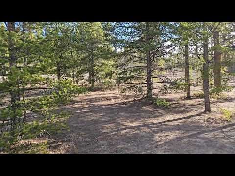 Video of Dispersed Camping - Turquoise Lake, CO from johny R.