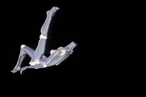 Documentary segment ft. Robert Abel's pioneering use of computer graphics in a 1984 commercial for the canned food industry. Visual effects pioneer Robert Abel was hired by Ketchum Advertising to develop a 30 second ad for the Canned Food Information Council; the aim was for the commercial to be so futuristic that it would completely demolish canned food's image as an archaic and inferior culinary product. Allegedly, the ad (called "Brilliance", or sometimes referred to as "Cans") aired only onc