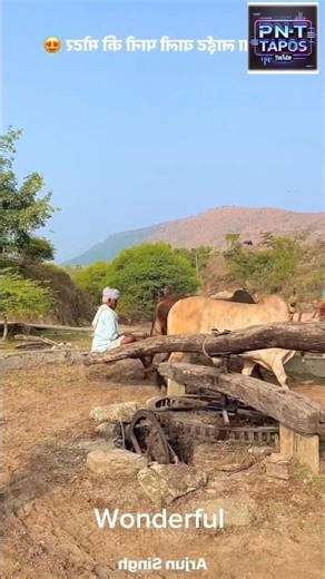 Rajasthan Village Beautiful Nature 🌾 | Peaceful Rural Life | Amazing India