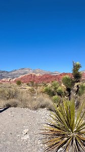 Start living your bucket list this summer with Club Wyndham! | Club Wyndham | Facebook