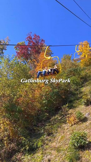 13K views · 478 reactions |  The Smokies were made for fall road...