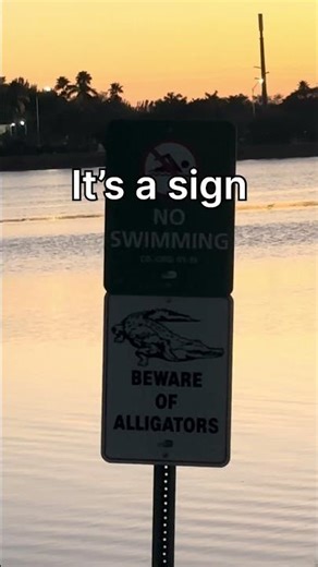 My amygdala will take the oscar.