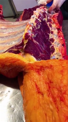 Quality appraisal of free-range yak meat on the plateau