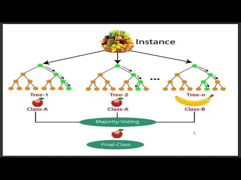 Random Forest Algorithm Explanation in Tamil | Machine Learning Algorithm Explanation