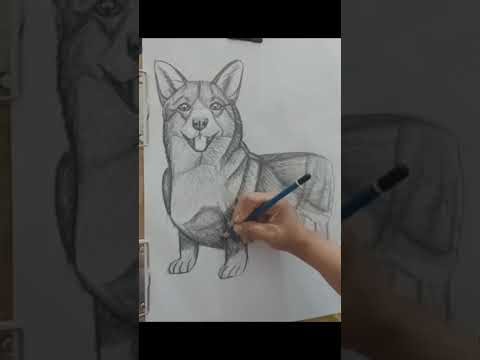 Drawing a Dog #18