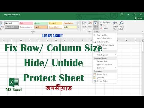 MS Excel for beginners | in Assamese | Part 8 | Fix Height, Width | Hide Unhide | Protect Sheet