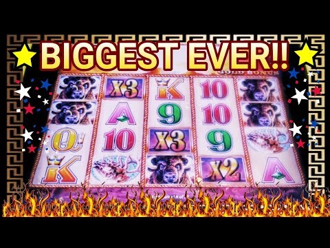 ⭐NEW Triple Sunsets Time! BIGGEST EVER at Buffalo Gold Collection Slot