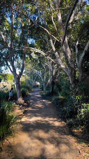 Springfield Lakes in Australia 🇦🇺 Gorgeous weather and an amazing morning walk around the lake #australia | LesTravel