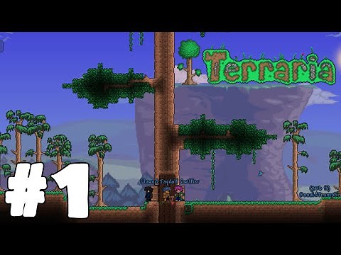 Terraria Tuesday - Home Tree