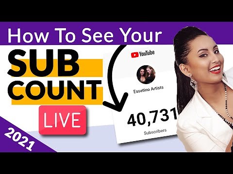 How to Check Your Youtube Live Subscriber Count 2021 | Youtube Tips