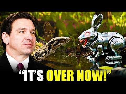 Florida Released Robotic Rabbits to Kill Pythons — What Happened Next Is INSANE