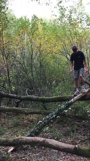 Sketchy tree jump challenge  . . . #parkour #freerunning #sketchy #tree #jump #challenge | Ryan Ashley Pearson | Facebook
