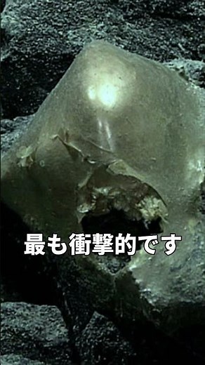 Every Dead Whale Creates a 100-Year City in the Deep Sea
