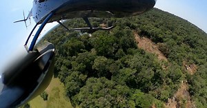 Kenya : planting trees in semi-arid regions using seedballs | Africanews
