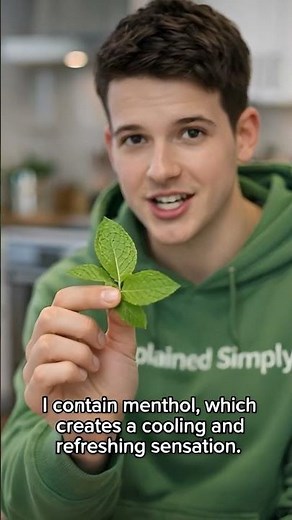 Why Does Mint Feel Cold? The Menthol Trick Explained