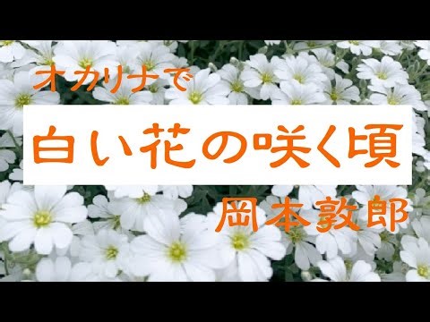 オカリナで「白い花の咲く頃」（歌詞付き）／岡本敦郎