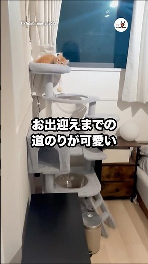 This makes me want to go home early ☺️ | PECO