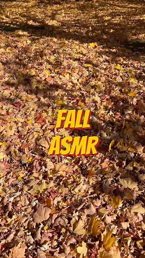 This is one of my favorite fall sounds, so I wanted to share it with all of you. #autumn #fallleaves #fall #asmr | Mishal Underwood