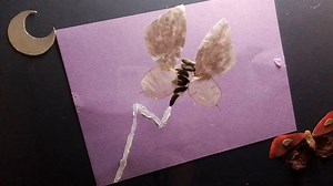 Moth Animation Workshop Compilation