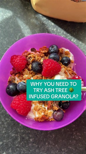 The Smiling Food Journal on TikTok