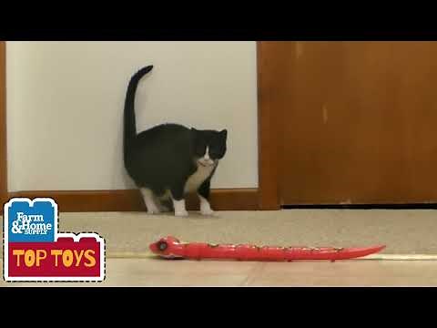 Top Toys Review: Zuru Robo Alive Snake