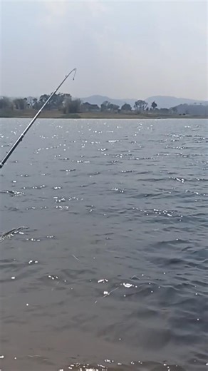 if your want to catfish fishing video attack catfish