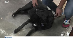 Make Music Utah County