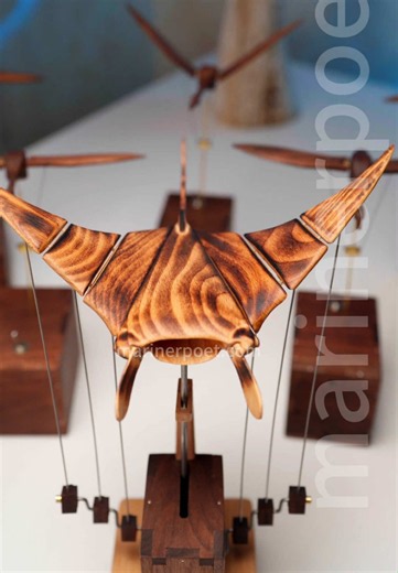 Handmade motion, born from the sea. This wooden automaton is handcrafted from North American walnut and European beech — two woods chosen for their warmth, strength, and natural beauty. Inspired by the quiet grace of ocean life, each piece turns movement into poetry, bringing calm and a touch of the sea to any space.#handcrafted #uniquegift #calming #aesthetic #woodcraft