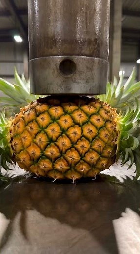 Watch This Before It Gets Deleted 😱