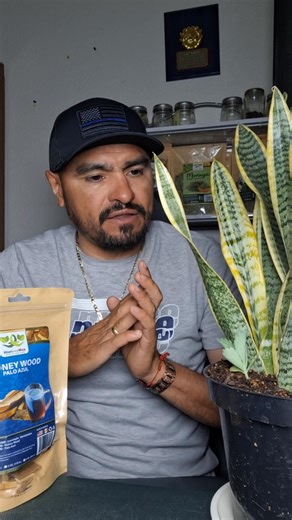 Luis Guzman on Reels