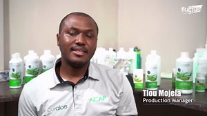 Inside South Africa's Millions $ Business of Harvesting & Processing Aloe Vera by Hand