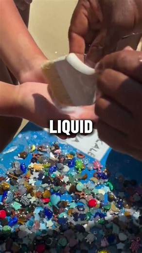 He Found His Shell! 🐚