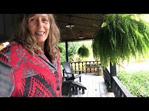 Caring for Ferns Over Winter