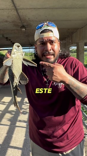 Pez inmortal: ¿mito o realidad? Guía de pesca y curiosidades